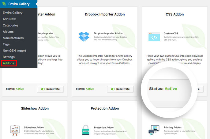 Install and activate the CSS addon