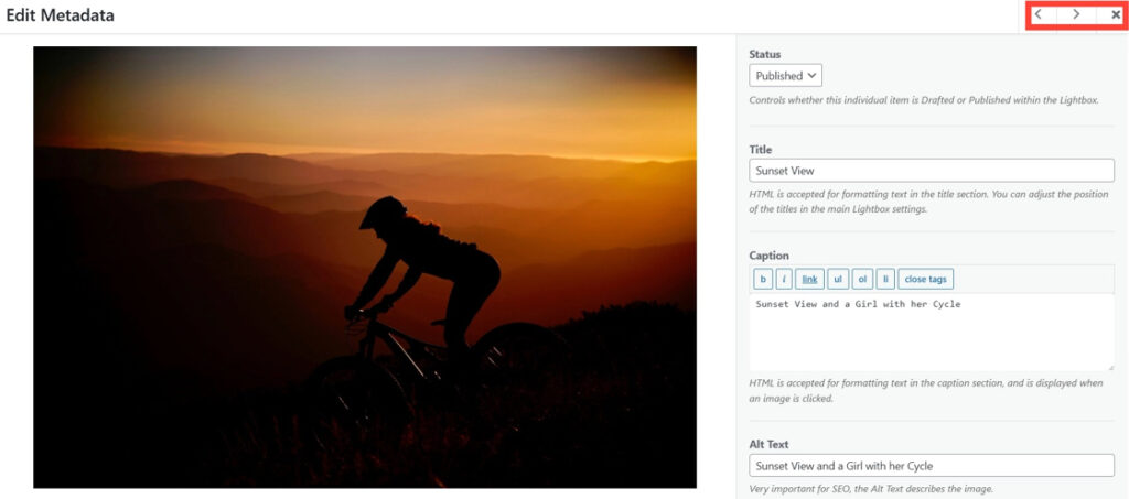Click X Icon to Close the Window