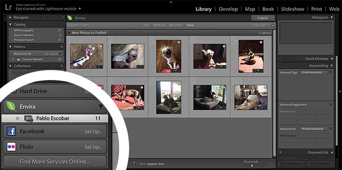 Select the Envira Collection in Lightroom to view the images it contains.