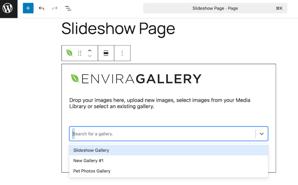 Adding the Envira Gallery block to a WordPress page