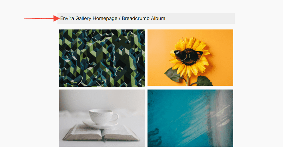 Change the Homepage URL inside Breadcrumbs