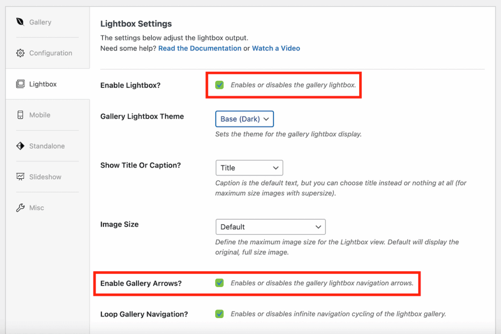 Enabling gallery arrows in Envira's lightbox settings