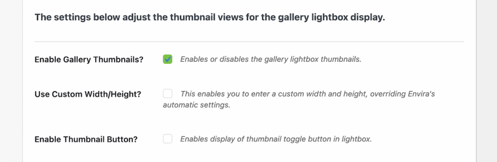 Enabling gallery thumbnails in Envira