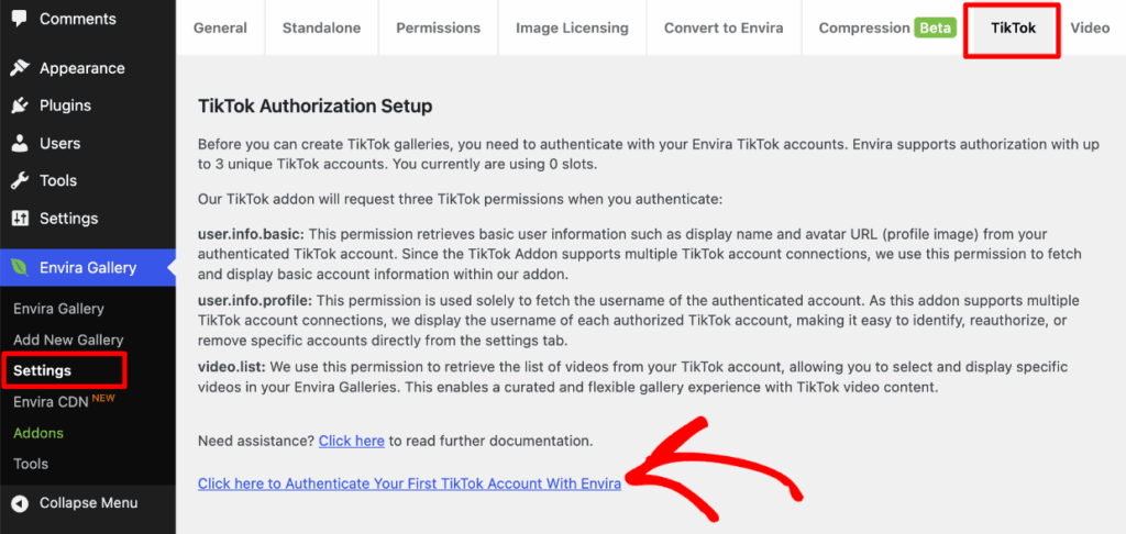Envira Settings > Authorize TikTok